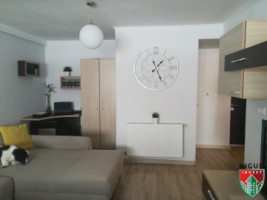 apartament-2-camere-mobilat-zona-selimbar-pictor-brana-3